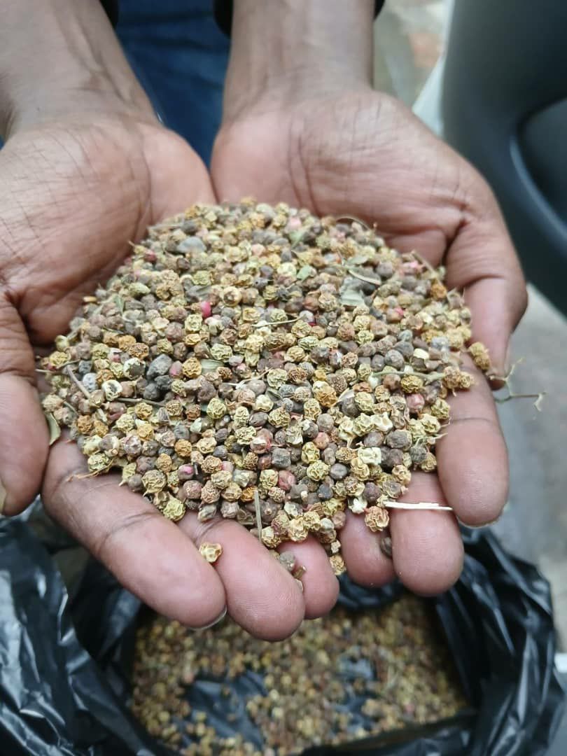 Black Pepper
