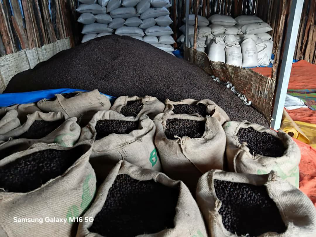 Agricultural Beans